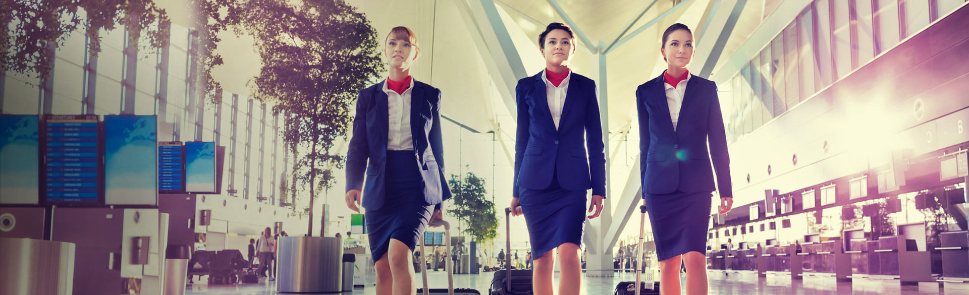 diploma in cabin crew management courses kochi